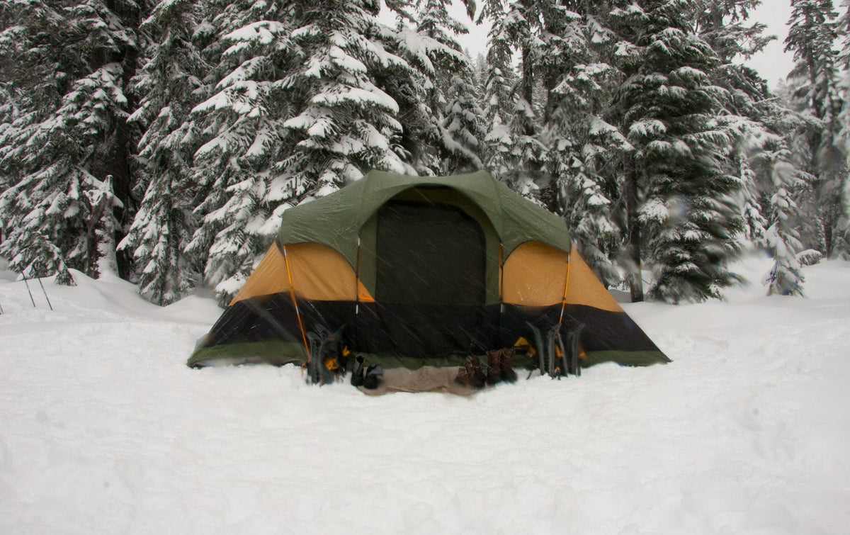 Tent pitched among snow-covered pine trees
