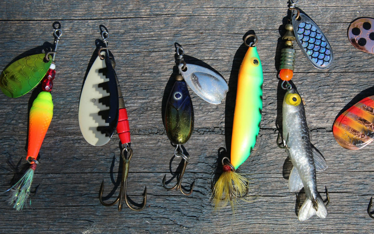 Lure Color Selection: How Water Clarity and Light Change Everything