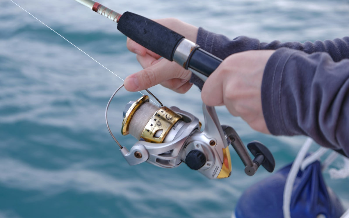 How to Choose the Right Fishing Line: Braid vs Mono vs Fluorocarbon