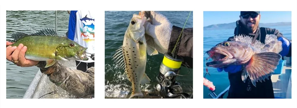 Glow Mackerel Soft Swimbaits 105mm (5 Pack)