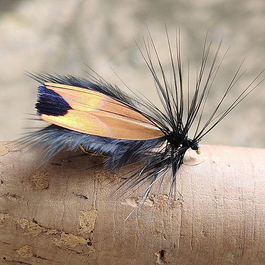Dry Fly Moth and Insect Flies (5 Pack)