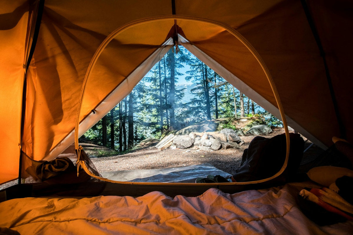 View out of an open tent door onto a forest, with sleeping gear inside