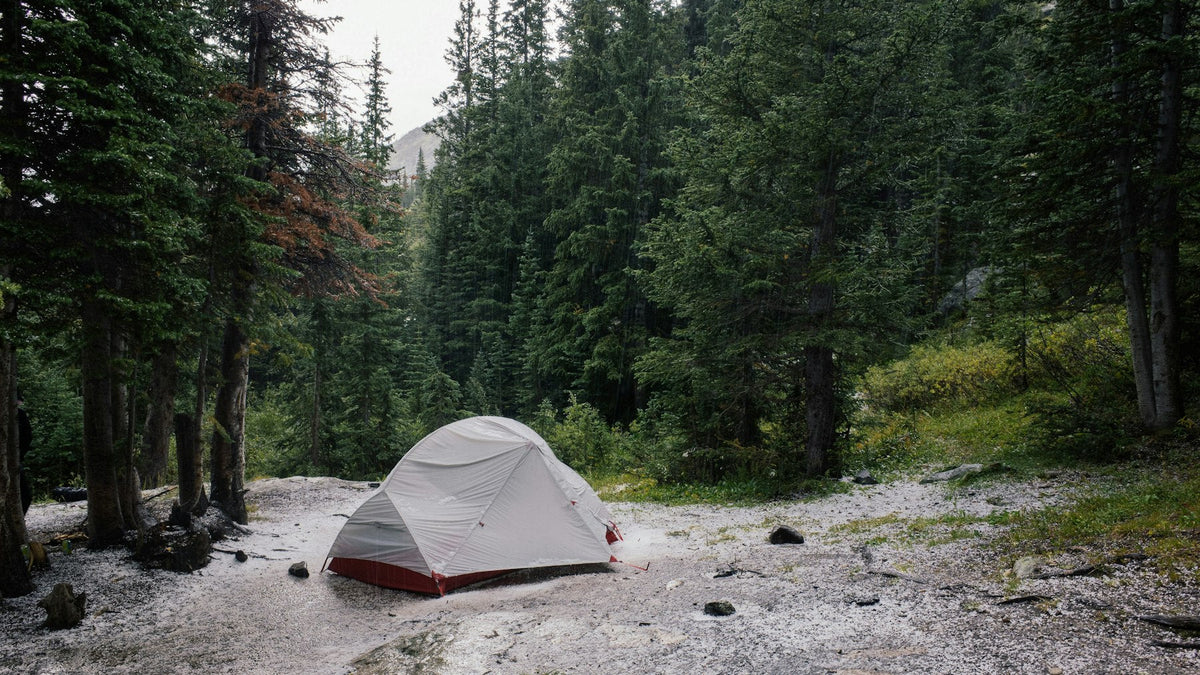 Grey backpacking tent pitched in a quiet forest clearing