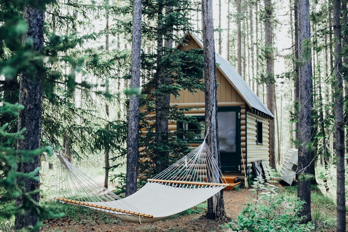 Camping hammock hung between trees beside a wooden cabin in the forest