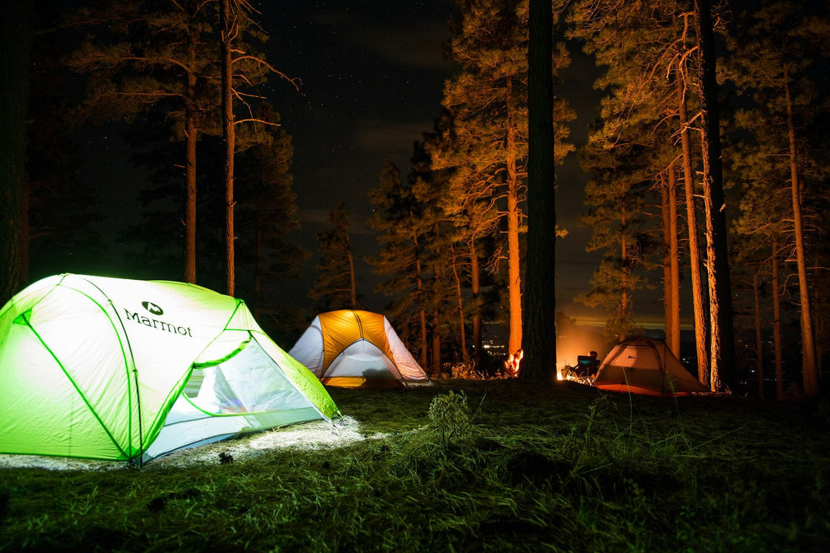 Green dome tent and lantern-lit camp in a pine forest at night