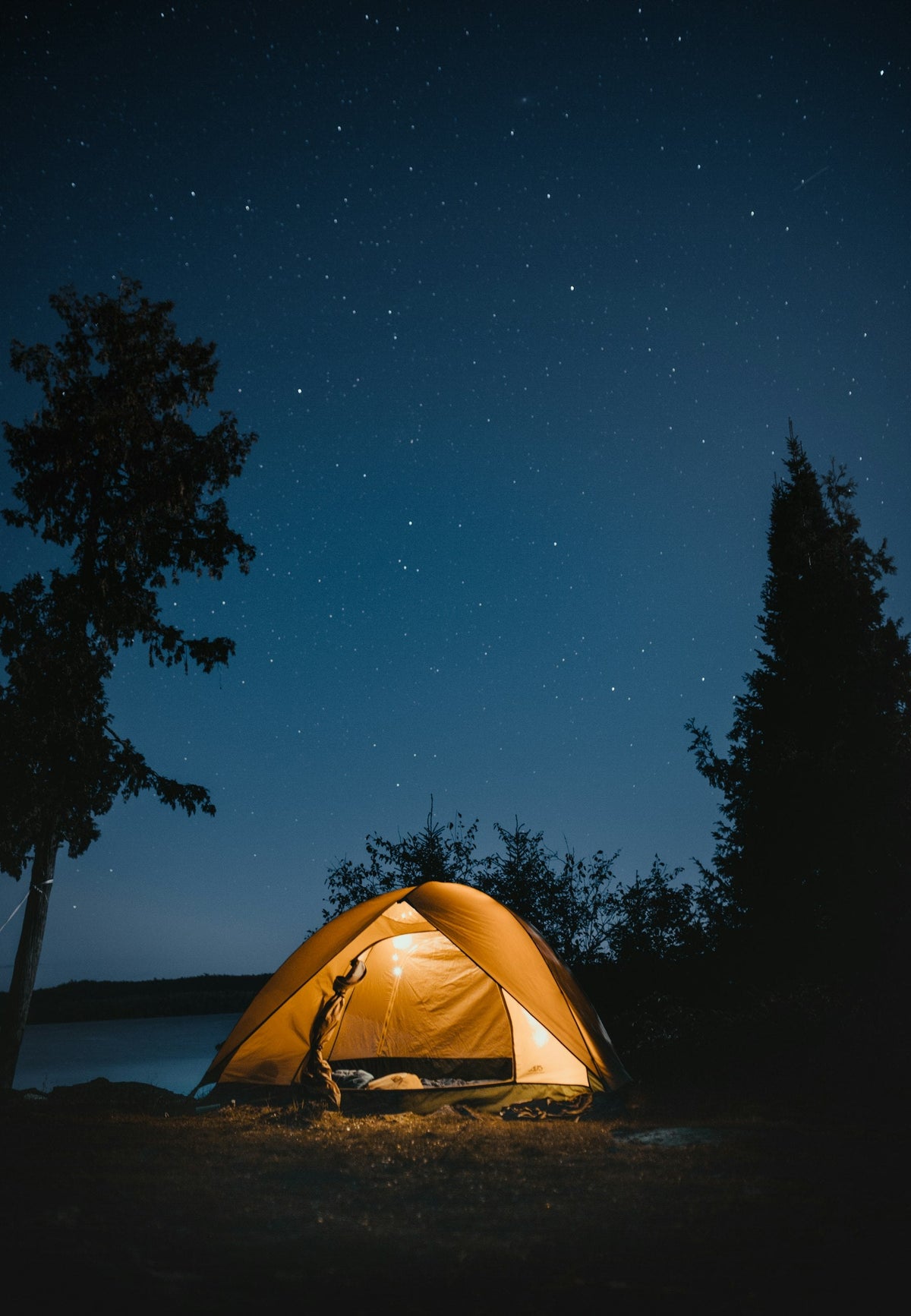 A glowing tent beneath a starry night sky framed by pine trees