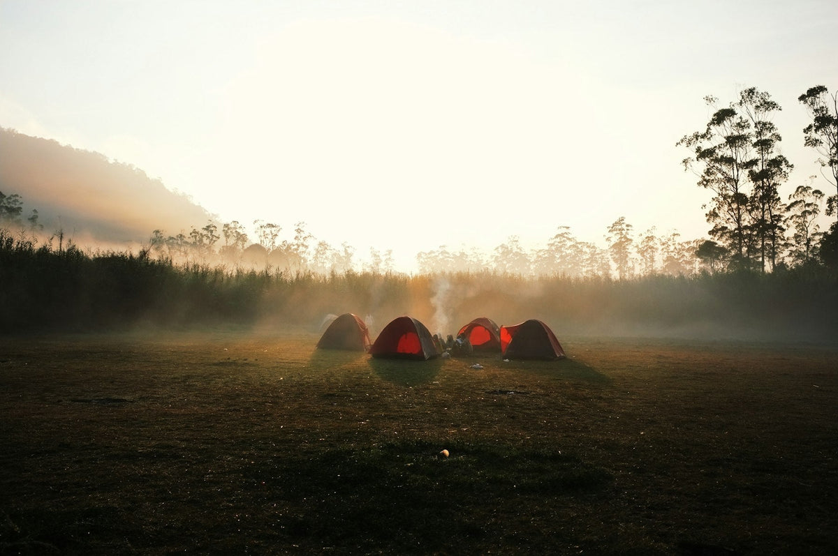 Three tents glowing in a misty meadow at dawn