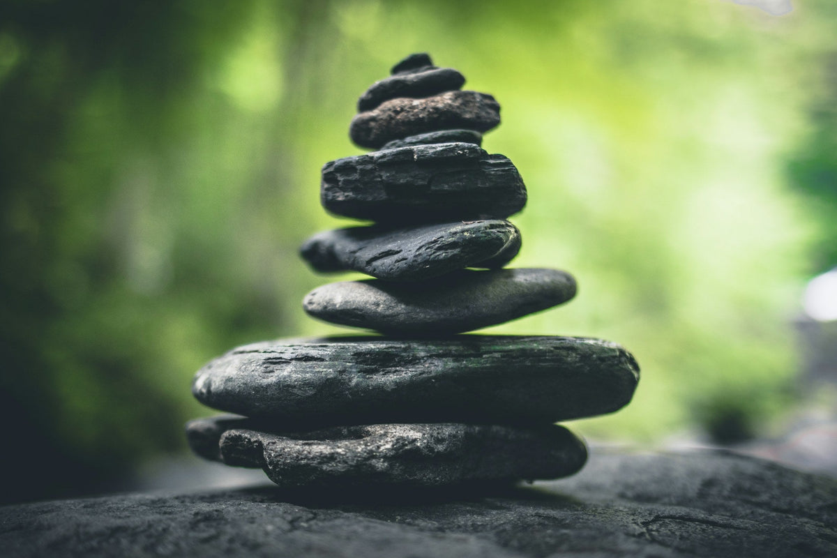 A balanced stack of smooth stones in a green forest