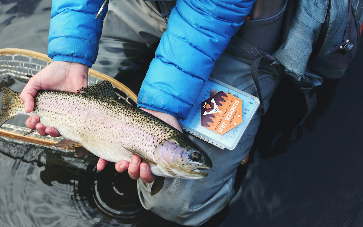 Trout Fishing 101: Ultralight Gear, Spinners and Stream Tactics