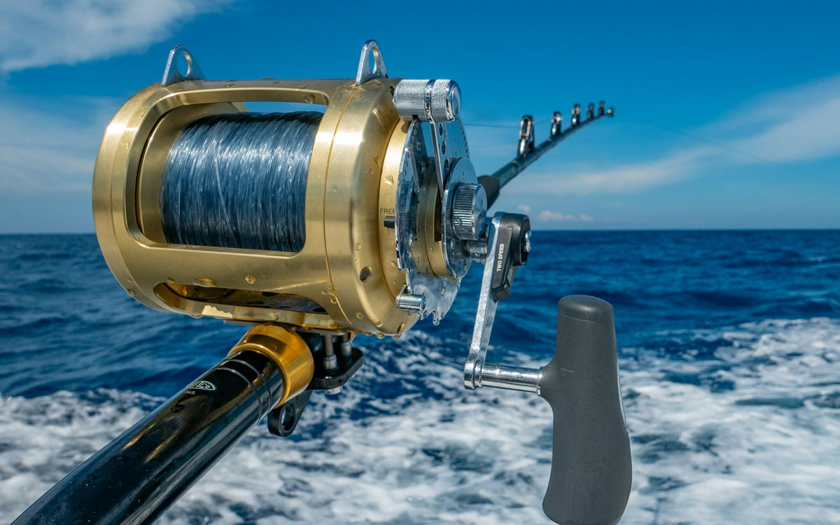 Saltwater Fishing from the Pier and Surf: A Complete Starter Guide