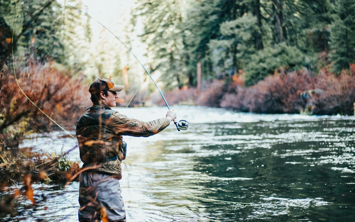 Fly Fishing for Beginners: Rods, Lines and Your First Flies