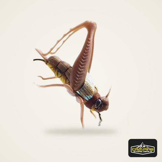 Grasshopper Insect Hard Baits (Size 2 and 6)