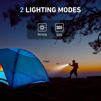 100W Portable Power Station – 88.8Wh, Dual Voltage