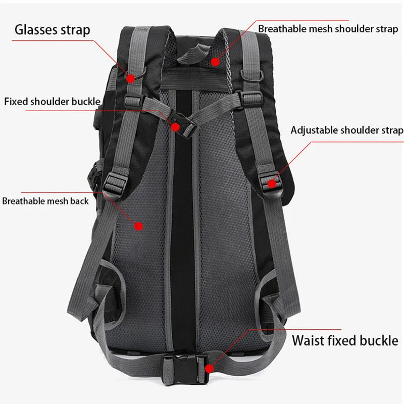Back view of hiking backpack with breathable mesh and adjustable straps