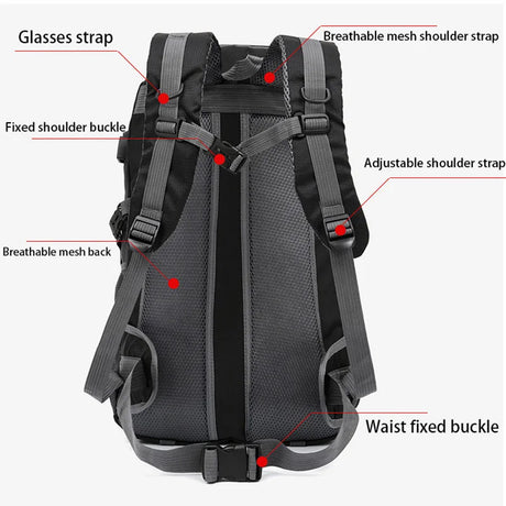 Back view of hiking backpack with breathable mesh and adjustable straps