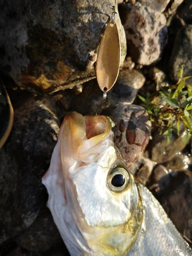 X-FIN Micro Trout Spoon 3g