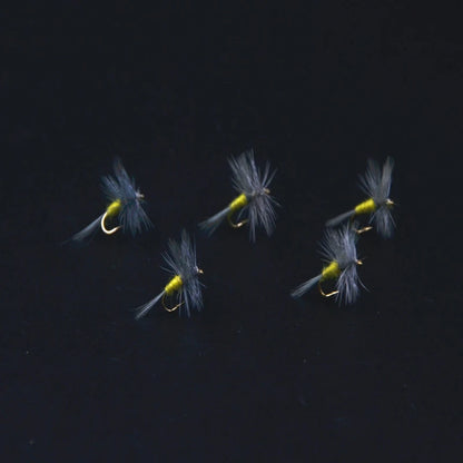 CONTEMPLATOR Blue Winged Olive Dry Flies #16 (5 Pack)