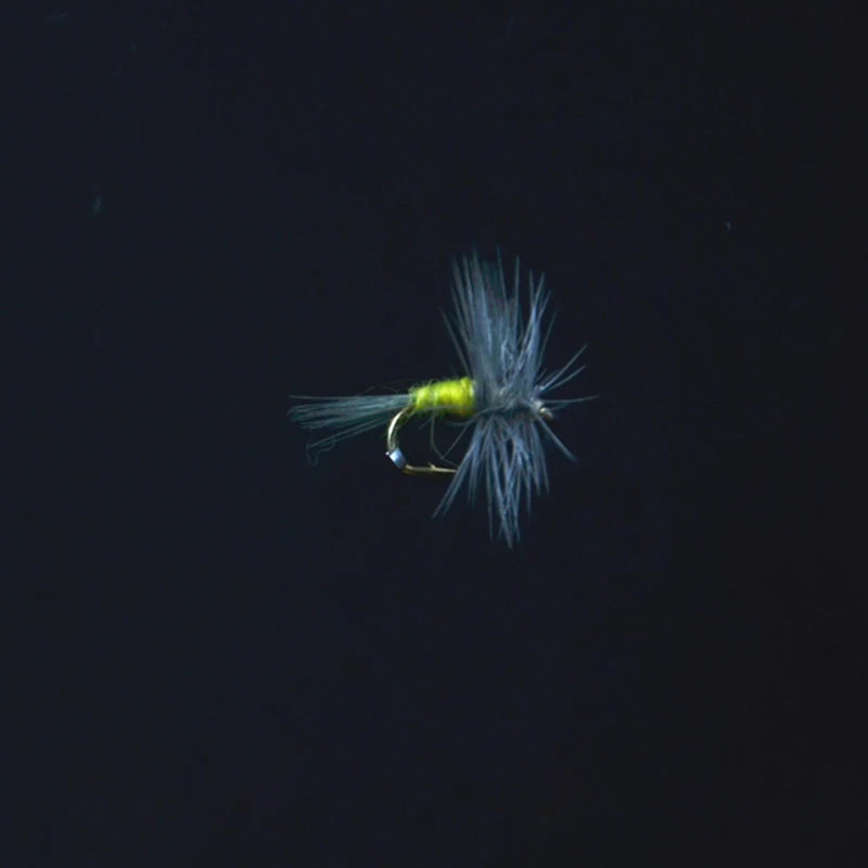 CONTEMPLATOR Blue Winged Olive Dry Flies #16 (5 Pack)