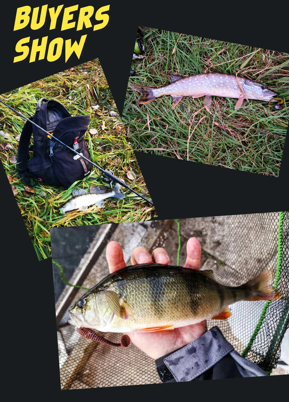 Supercontinent Swing Impact Ring Shad Fishing Lure 6pcs/10pcs/20pcs Artificial Pesca Leurre Souple Fishing Lures