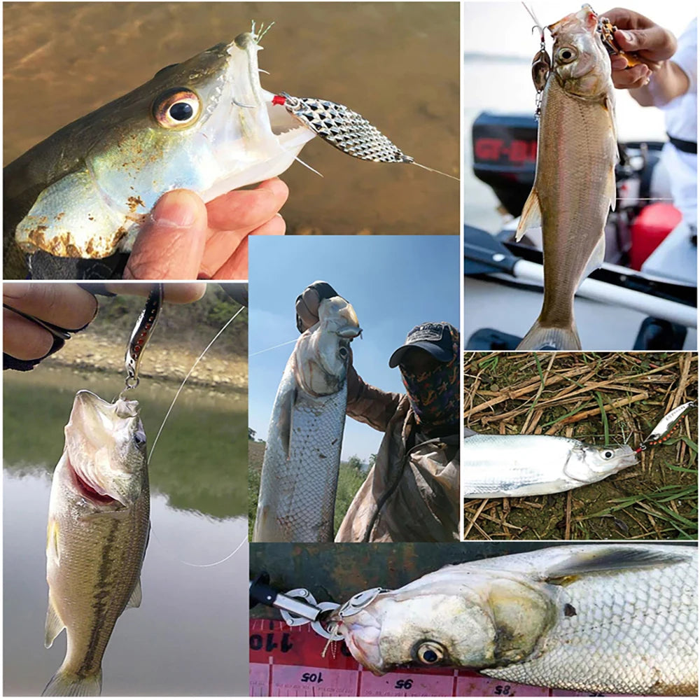 Soft and Hard Bait Lure Kit with Box