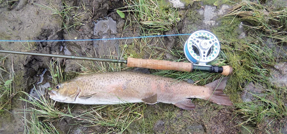 Maximumcatch AllTime 9ft 8-Piece Travel Fly Rod (5-8WT)