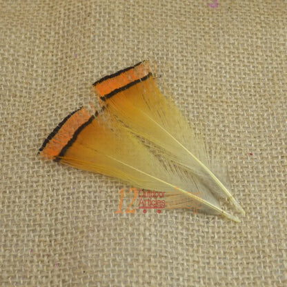 MNFT Golden Pheasant Tippet Feathers (50 Pack)