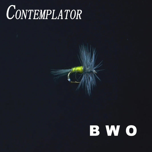 CONTEMPLATOR Blue Winged Olive Dry Flies #16 (5 Pack)