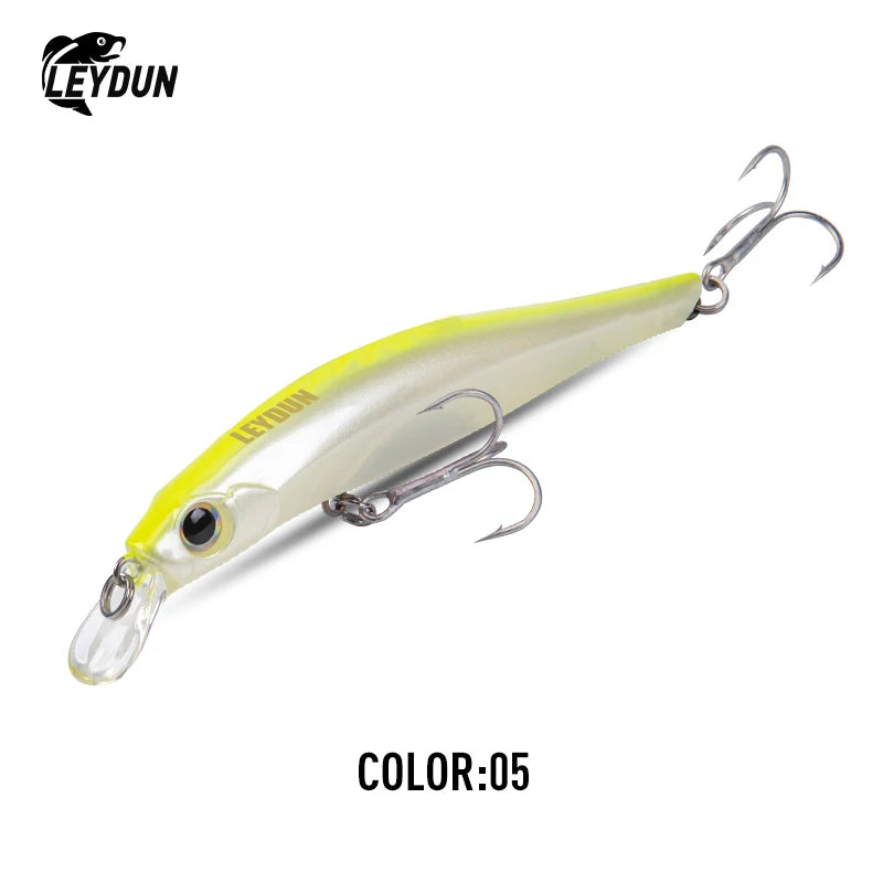 LEYDUN Artist FR Sinking Minnow Jerkbait