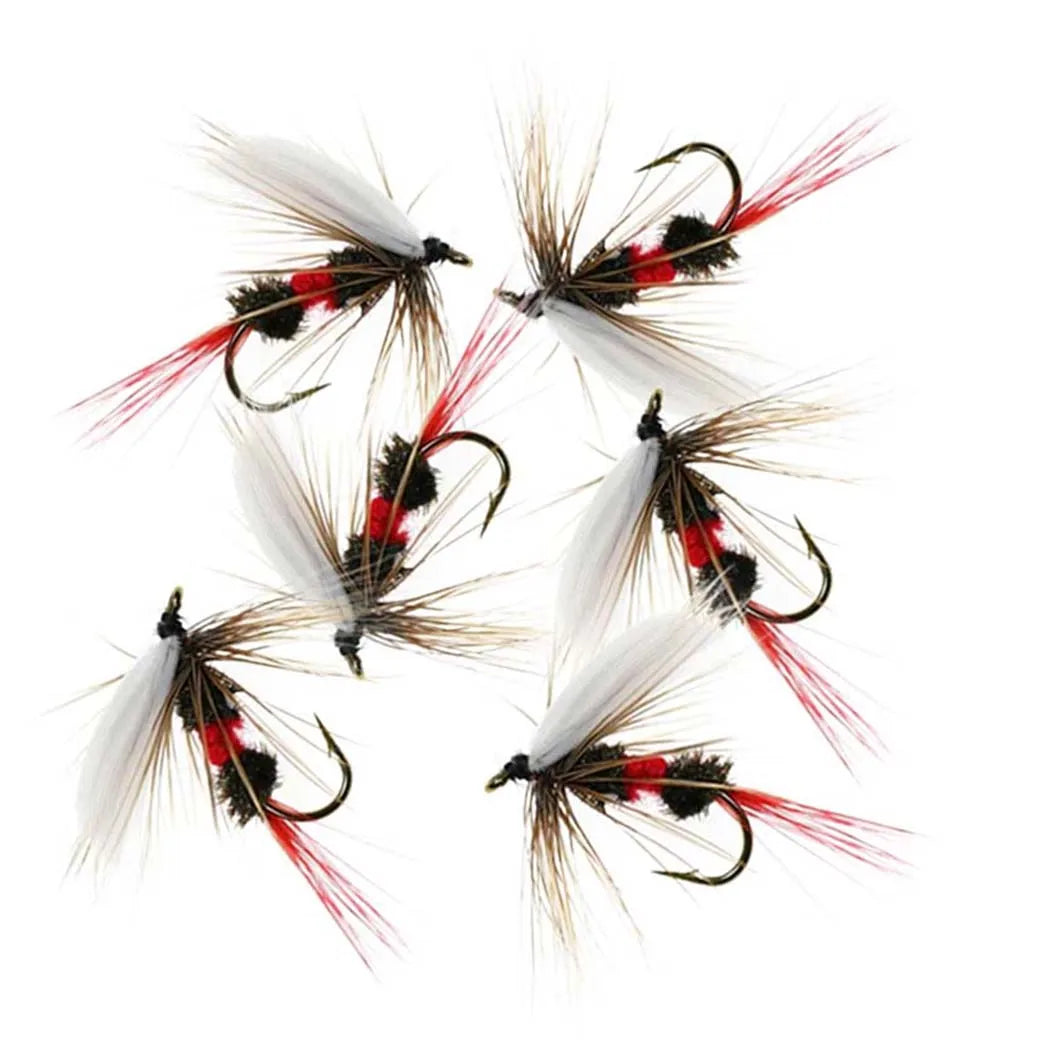 Mixed Nymph and Dry Fly Box (6 Pack)