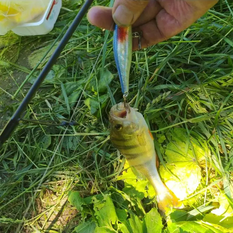 Minnow Jerkbait Wobbler 8.8cm 9g