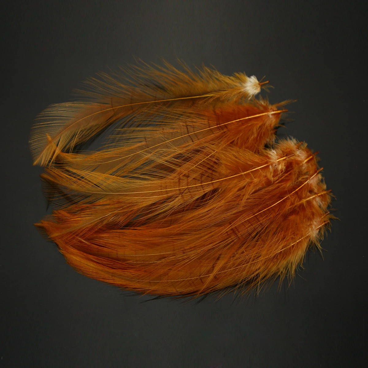 Saltwater Neck Hackle Feathers