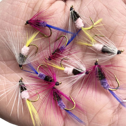 Assorted Dry and Wet Flies (10 Pack)