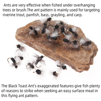 ICERIO Black Foam Ant Dry Flies (3/6 Pack)