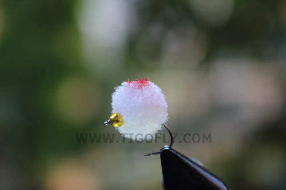 Tigofly Beadhead Egg Flies with Box (36 Pack)