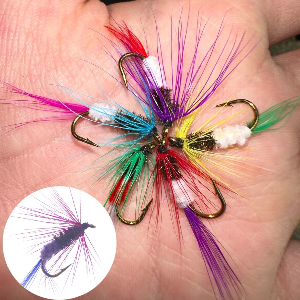 Assorted Dry and Wet Flies (10 Pack)