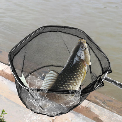 Telescoping Fishing Landing Net (Extends to 155cm)