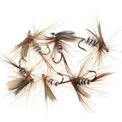 Mixed Nymph and Dry Fly Box (6 Pack)