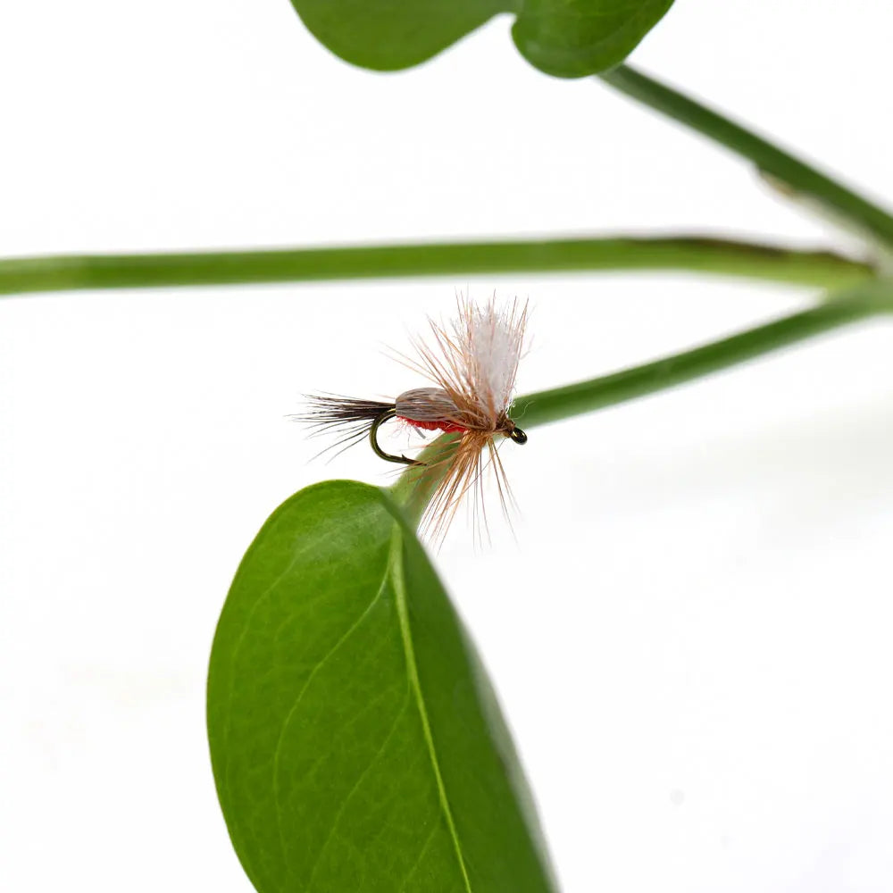 Bimoo Red Humpy Dry Flies #14 (6 Pack)