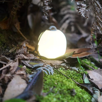 Mini Egg-Shaped Squeeze Silicone Camping Lantern, USB Rechargeable Portable LED Tent Lamp for Outdoor Picnic & Cozy Ambient Ligh