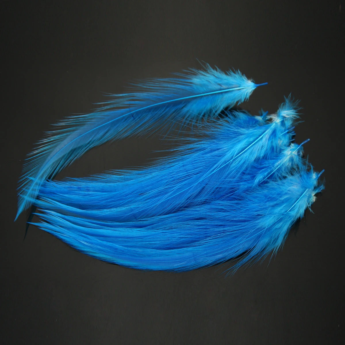 Saltwater Neck Hackle Feathers
