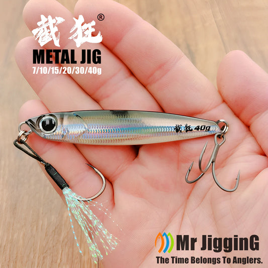 Mr JigginG Fast Sinking Metal Jig (10-40g)