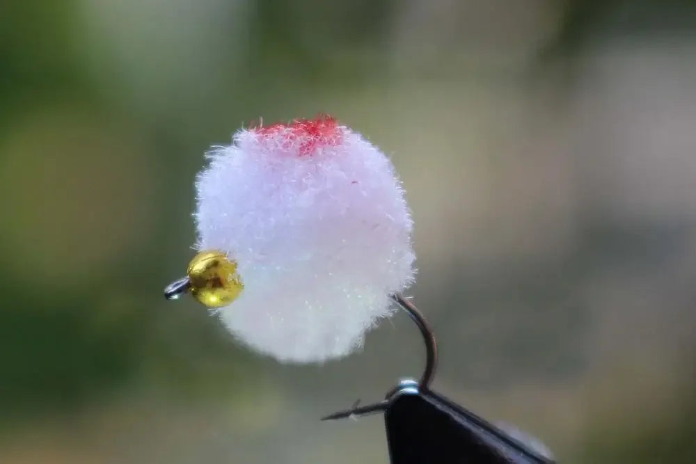 Tigofly Beadhead Egg Flies with Box (36 Pack)