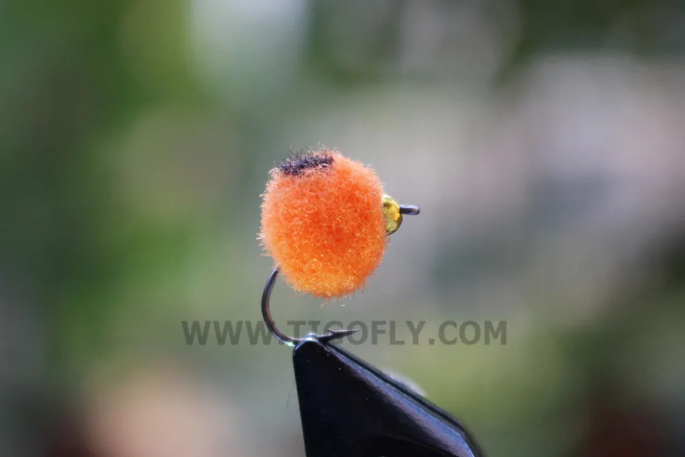Tigofly Beadhead Egg Flies with Box (36 Pack)