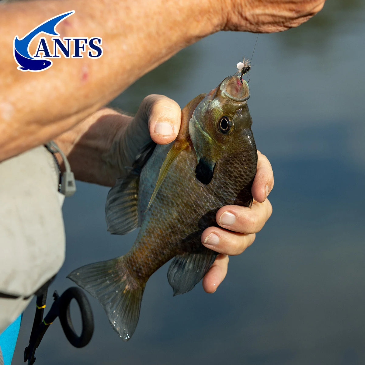 ANFS Midge Dry Flies (4 Pack)
