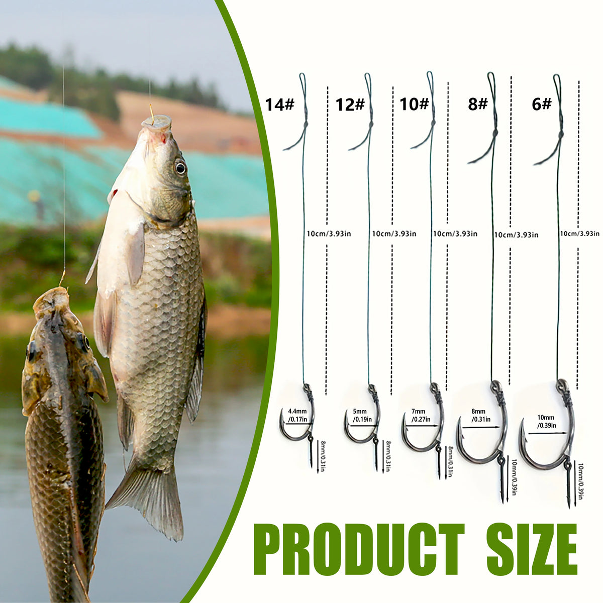 Pre-Tied Carp Hair Rigs (Sizes 6-12)