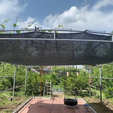 40~90% Shading Black HDPE Anti-UV Sun Shade Net Gazebo Shelter Outdoor Pergola Sun Cover Agriculture Greenhouse Sunshade Net