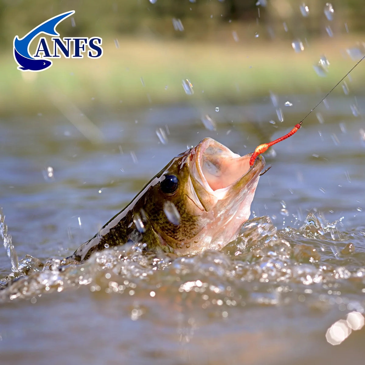 ANFS Squirmy Wormy Flies (4 Pack)