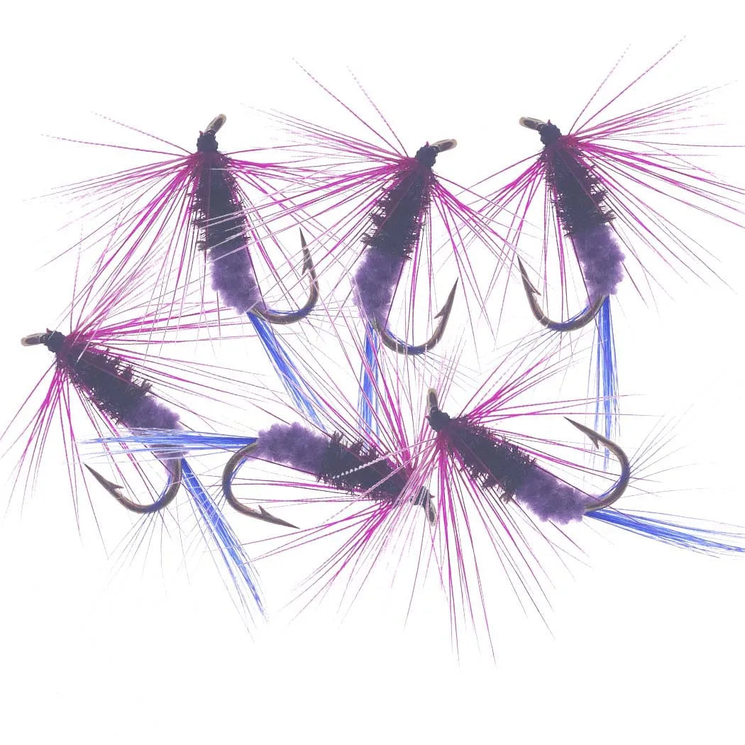 Assorted Dry and Wet Flies (10 Pack)