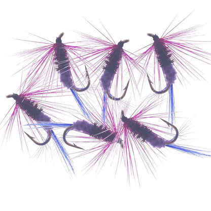 Assorted Dry and Wet Flies (10 Pack)