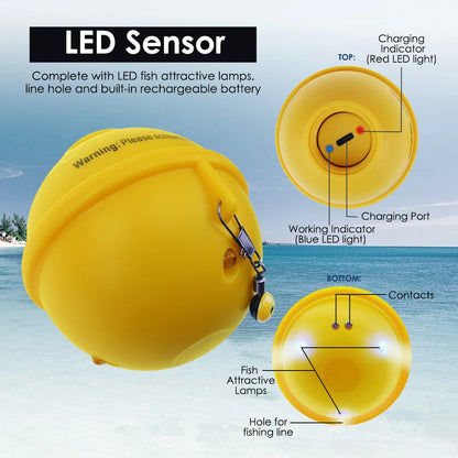 Wireless Sonar Fish Finder with Large LCD & Fish Alarm